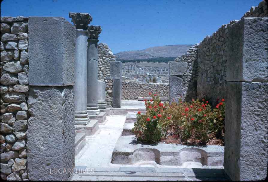 77-volubilis-columns-garden.jpg