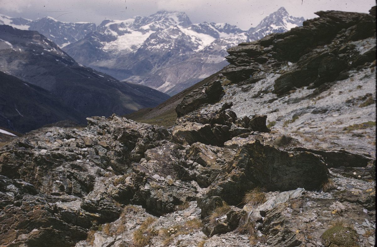 Wild Alpine Scene near Dent Blanche below Gornergrat