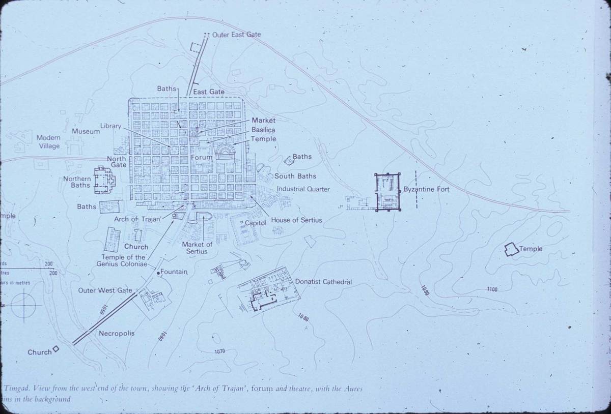 325_timgad-plan.jpg