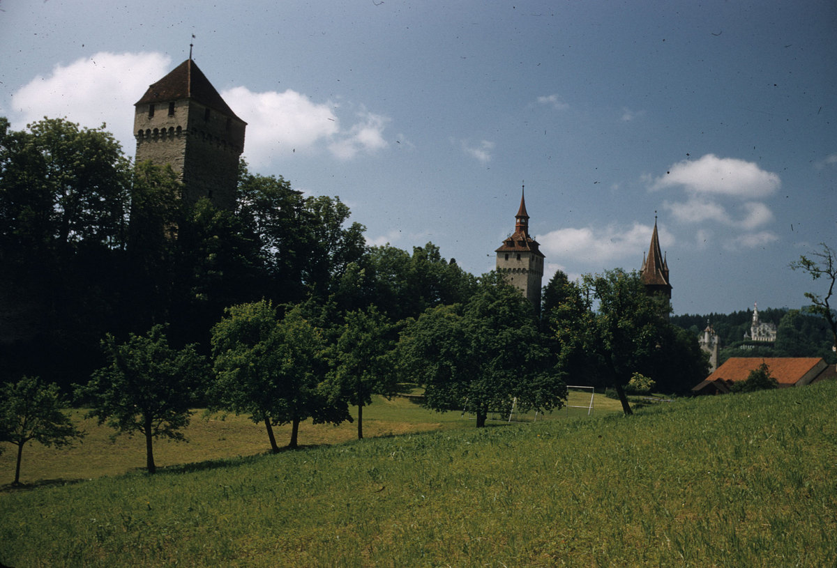 84_Lucerne-15-century-wall-Gutsch-Chateau.jpg