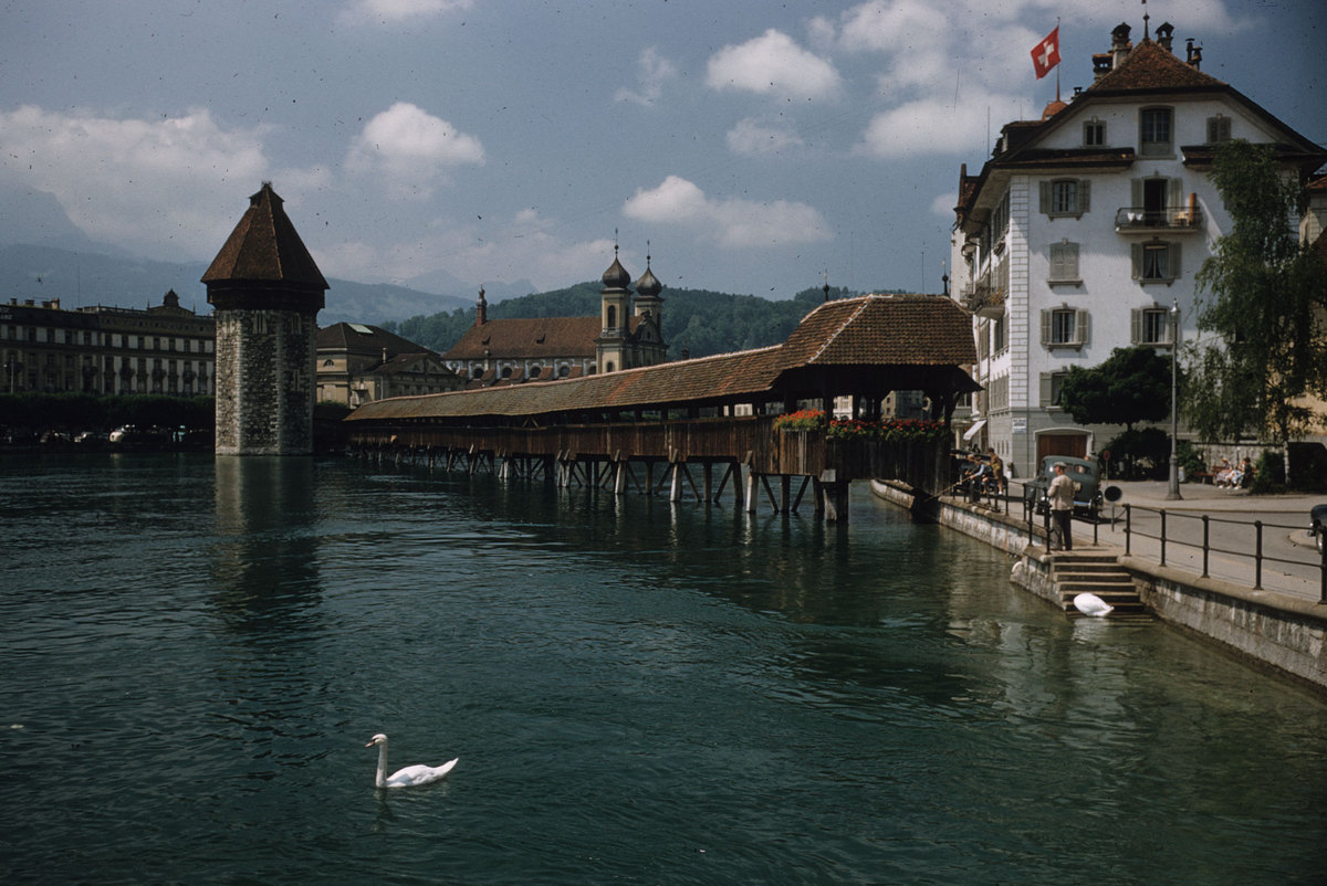85_Lucerne-covered-bride-Ruess-River.jpg