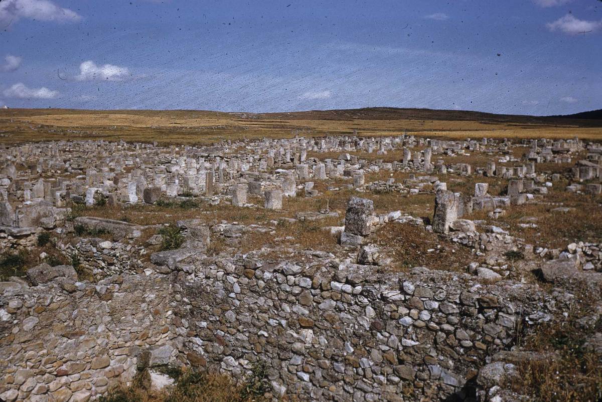 224_madaurus-general-to-sou.jpg