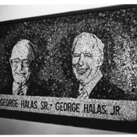 001_halas_sports_center_mosaic.jpg