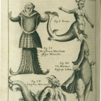 002_schott_physica_curiosa_.jpg 002_schott_physica_curiosa_.jpg