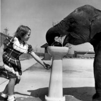 Girl with Elephant