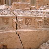 8-leptismagna-new-forum.jpg