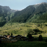 59_Gutannen-bus.jpg