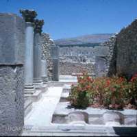 77-volubilis-columns-garden.jpg