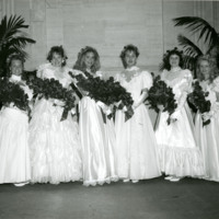 Debutantes, 1990.jpg