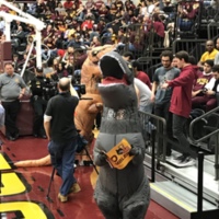 Dinosaur costumes at viewing party