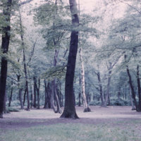 Bois de Boulogne-Paris, France