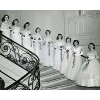 Debutantes, 1954 squared.jpg