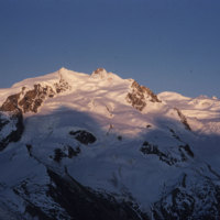106_Monte-rosa-in-sunset-rose-pink.jpg