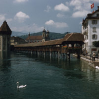 85_Lucerne-covered-bride-Ruess-River.jpg