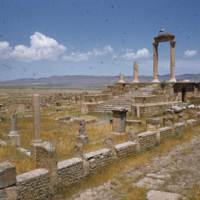 335_timgad-temple-of-genius.jpg