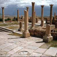 50-timgad-library.jpg