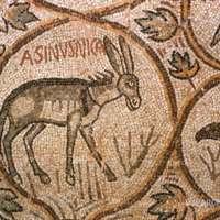 68-djemila-mosaic-asinus-nike.jpg