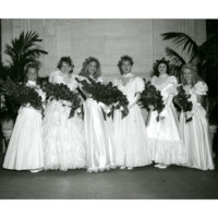 Debutantes, 1990 squared.jpg