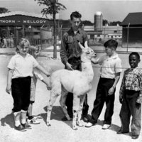 Children at Hawthorn-Mellody Farms Petting Zoo