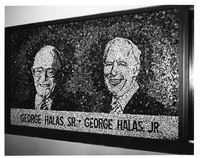 001_halas_sports_center_mosaic.jpg