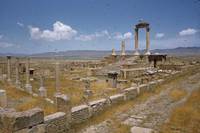 335_timgad-temple-of-genius.jpg