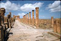 47-timgad-decumanus-at-cardo.jpg